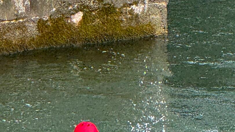 Ein speziell ausgebildeter Str&ouml;mungsretter holte den verungl&uuml;ckten Vierbeiner aus dem Fluss.