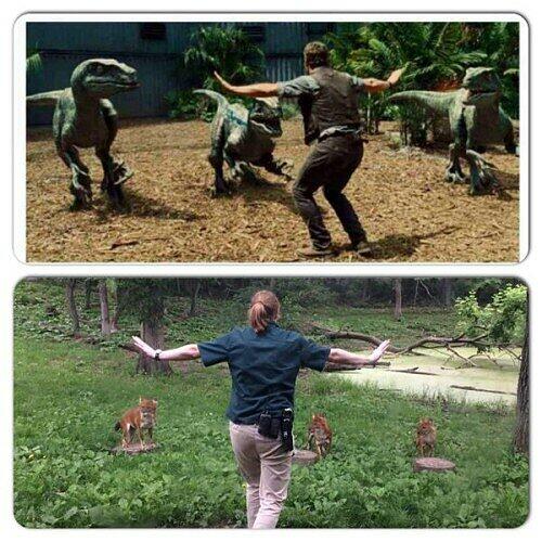 #JurassicZoo: Wenn Jurassic World Wirklichkeit wird