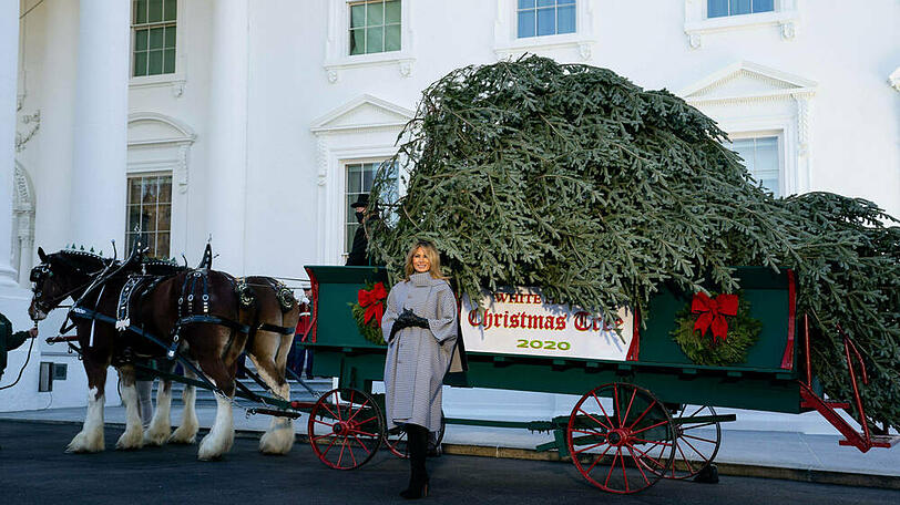 Melania Trump nimmt den Weihnachtsbaum für das Weiße Haus in Empfang