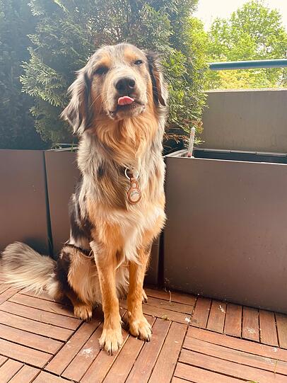 Milo