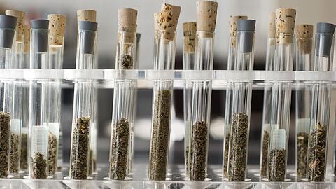 Es gibt endlos viele verschiedene Designerdrogen - die Hersteller reagieren sofort auf jede Gesetzes&auml;nderung. (Symbolbild)