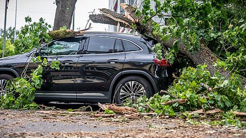 Orkanartige Windböen, wie sie in Berlin am Montag Bäume zum Umsturz brachten, soll es am Dienstag nicht mehr geben.