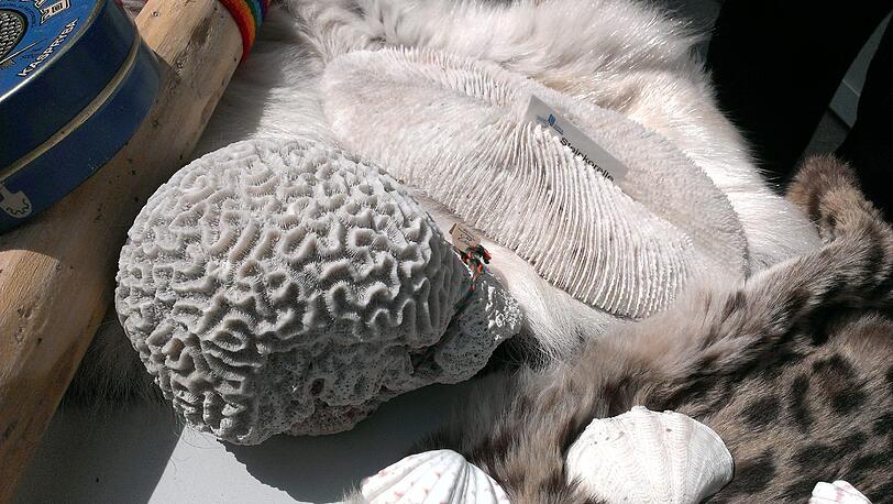 Souvenirs! Souvenirs! &ndash; oft sorgen Mitbringsel bei der Heimkehr für ein böses Erwachen.