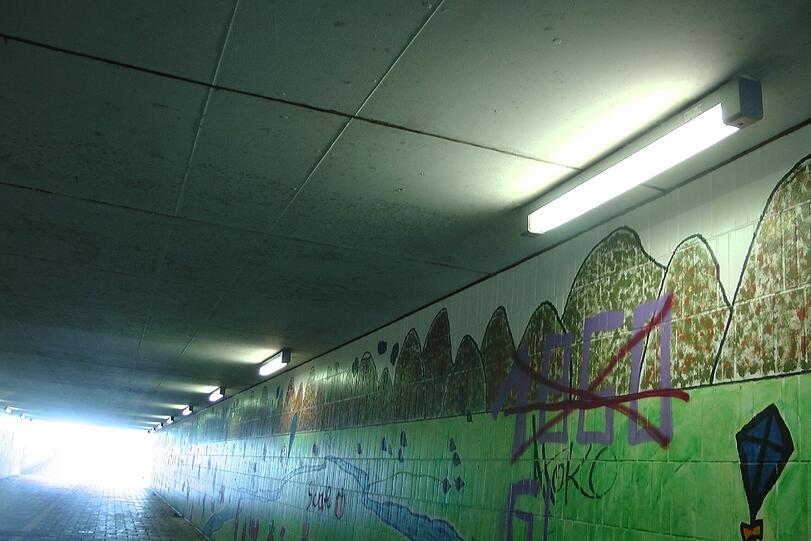 Vor sechs Jahren haben Schüler die Truderinger Unterführung bemalt - doch das Kunstwerk ist in die Jahre gekommen.