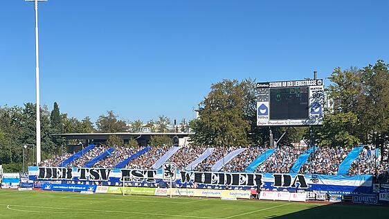 Die Löwen-Fans sind schon bereit – gleich geht es los. Die Löwen-Fans sind schon bereit – gleich geht es los.