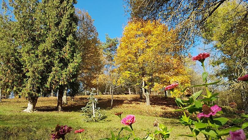 Hinter dem Hotel befindet sich der 16.000 Quadratmeter große Hauspark mit beleuchteten Spazierwegen und Ruhebänken. Hinter dem Hotel befindet sich der 16.000 Quadratmeter große Hauspark mit beleuchteten Spazierwegen und Ruhebänken.
