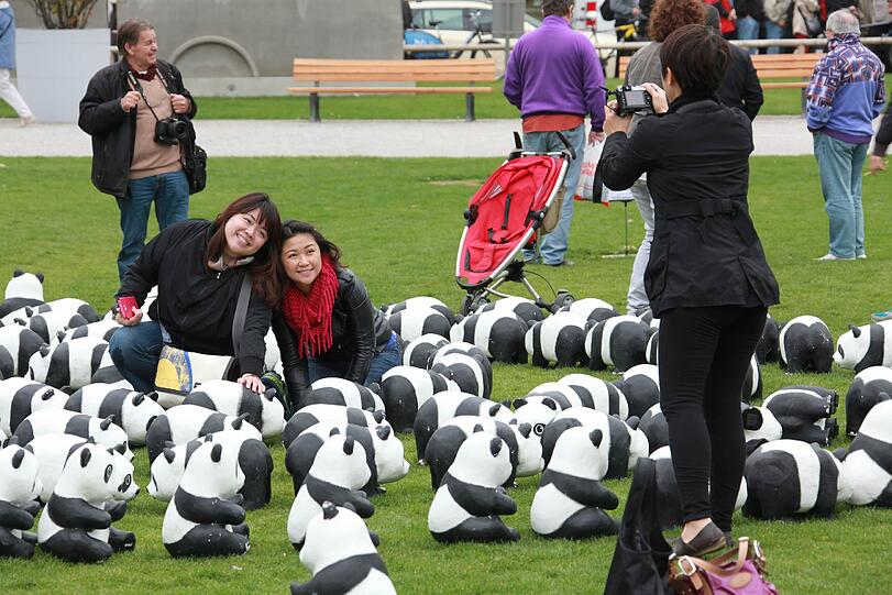 WWF Deutschland feiert 50-jähriges Bestehen: Die Panda-Skulpturen am Marienhof