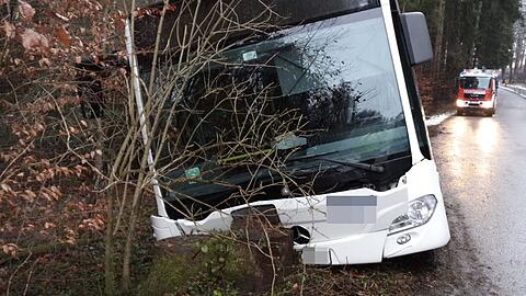 Am Mittwoch ist ein Schulbus von der Straße abgekommen und gegen einen Baumstumpf geprallt.
