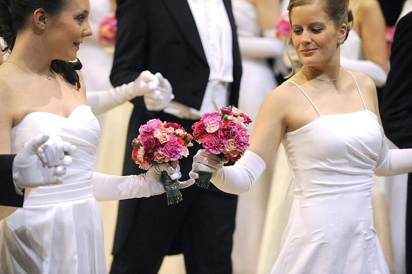 Opernball 2013 in Wien: Die besten Bilder