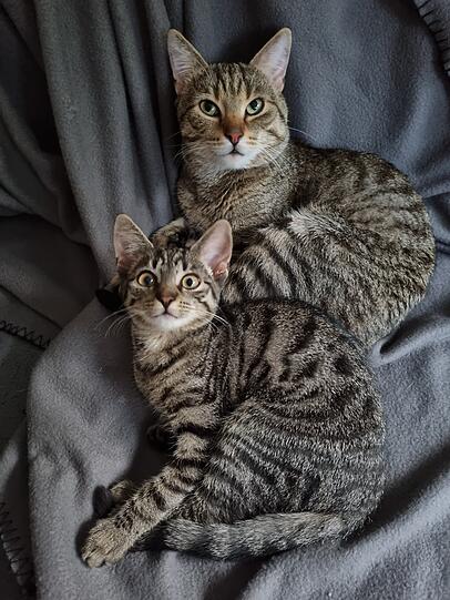 Jim und Jolie