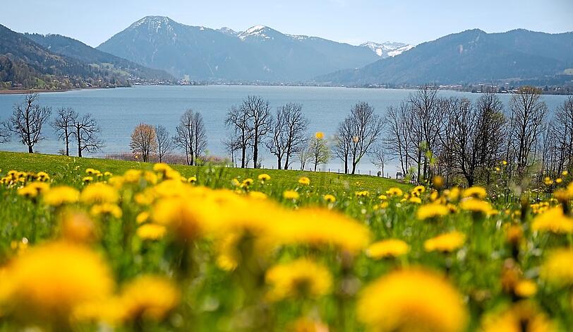 Blick auf den Tegernsee in Gmund. Am langen Wochenende um Christi Himmelfahrt rät die BRB von einer Reise zum beliebten Ausflugsziel aus München ab. Der Grund: fünftägige Bauarbeiten auf Straße und Schiene vom 8. bis 12. Mai.