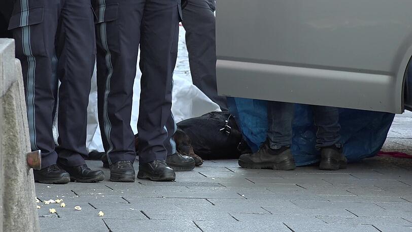 Chaos nach den Angriffen. Die Polizei muss den Kadaver des erschossenen Rottweilers abtransportieren.
