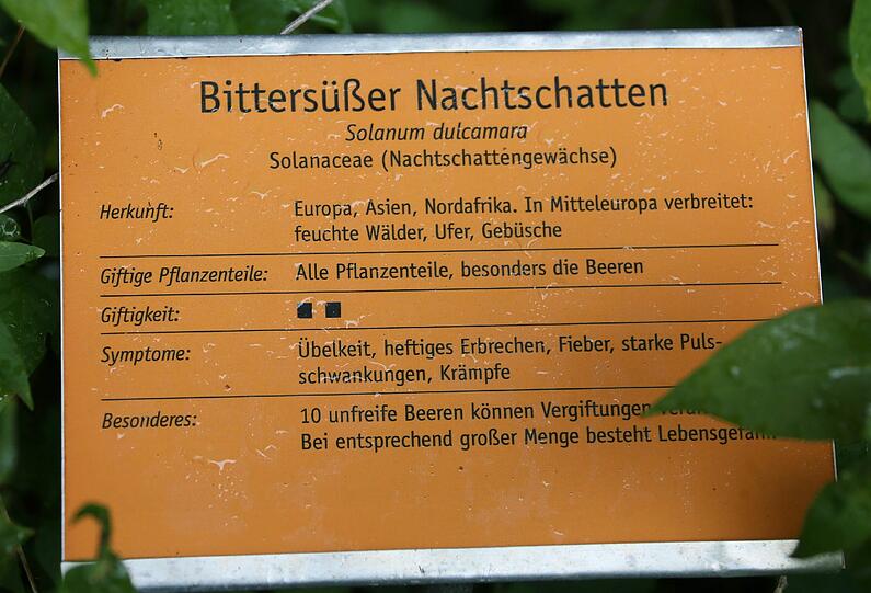 Auflösung siehe Tafel