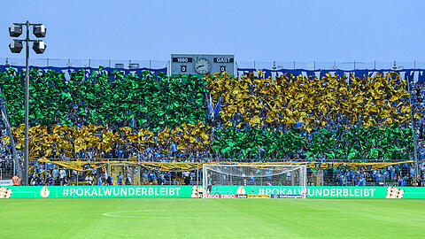 Die Löwen-Choreo vor dem Anpfiff.