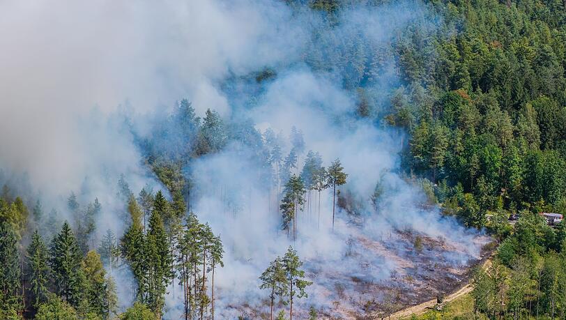 Mehr als 200 Einsatzkräfte haben zusammen mit Landwirten gegen den Waldbrand gekämpft. Mehr als 200 Einsatzkräfte haben zusammen mit Landwirten gegen den Waldbrand gekämpft.