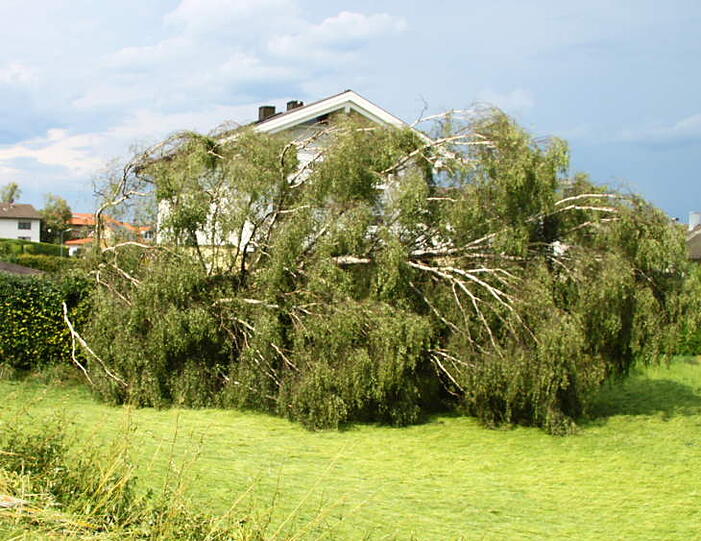Hagel, Regen, umgeknickte Bäume, vollgelaufene Keller - Heftige Unwetter sind am Mittwochabend über Bayern gezogen. Die Bilder.