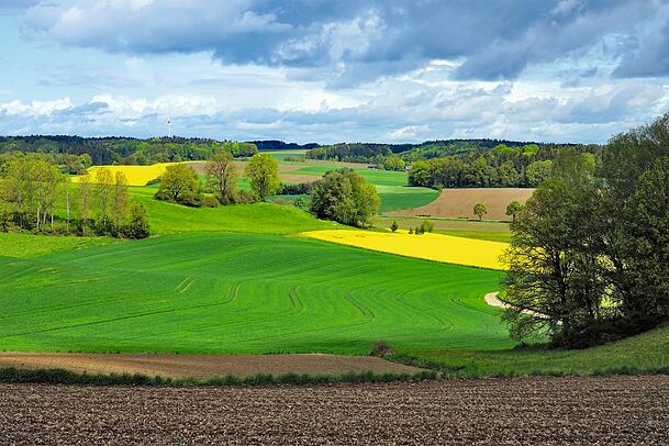 Farbspiel der Natur: Das Tertiärhügelland ist zu jeder Jahreszeit eine Schau und sieht fast aus wie gemalt. Farbspiel der Natur: Das Tertiärhügelland ist zu jeder Jahreszeit eine Schau und sieht fast aus wie gemalt.