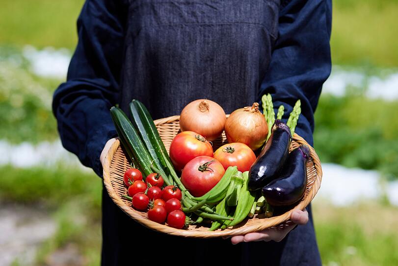 Gemüse ist nicht nur im fermentierten Zustand förderlich für den Darm. Brokkoli, Zucchini, Karotten, Zwiebeln und Co. enthalten auch roh, gekocht oder gedünstet viel Wertvolles für unser Verdauungsorgan, allen voran Ballaststoffe. Diese unverdaulichen Bestandteile des Gemüses binden Wasser im Darm und sind wichtige Nahrung für die guten Darmbakterien. Gemüse ist nicht nur im fermentierten Zustand förderlich für den Darm. Brokkoli, Zucchini, Karotten, Zwiebeln und Co. enthalten auch roh, gekocht oder gedünstet viel Wertvolles für unser Verdauungsorgan, allen voran Ballaststoffe. Diese unverdaulichen Bestandteile des Gemüses binden Wasser im Darm und sind wichtige Nahrung für die guten Darmbakterien.