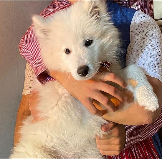 Yuki