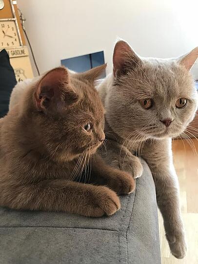 Patek und Philippa