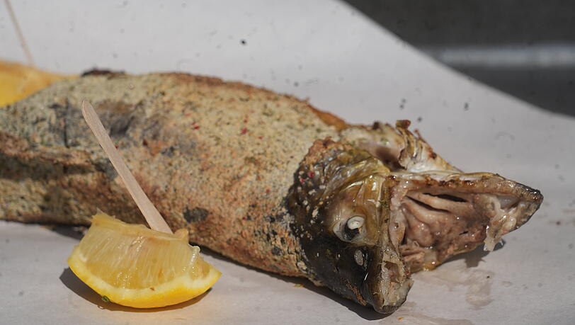 Es muss nicht immer Makrele sein. In der Fischer-Vroni gibt's Steckerlfisch vom Bio-Saibling. Es muss nicht immer Makrele sein. In der Fischer-Vroni gibt's Steckerlfisch vom Bio-Saibling.