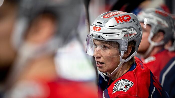 Vater Niklas arbeitet beim EHC: Nürnbergs Elis Hede.