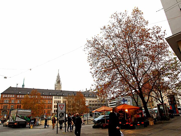 Blick aus der Residenzstraße in Richtung Marienhof: Für die Bauarbeiten zur zweiten Stammstrecke müssen die Bäume an der Ecke Schrammerstraße weg.