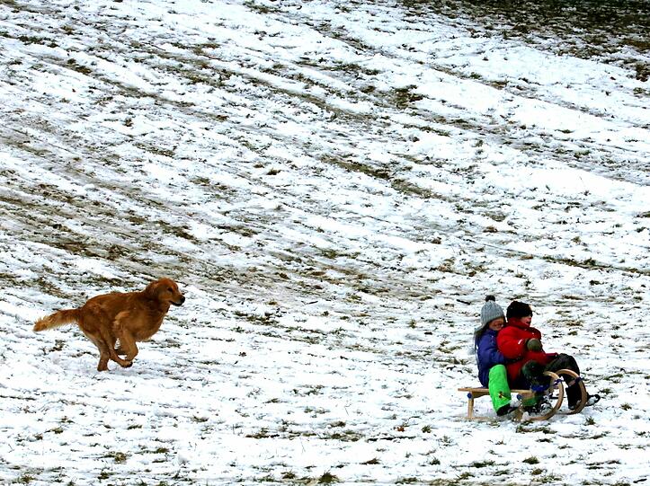 Schnee in München. Die Bilder.