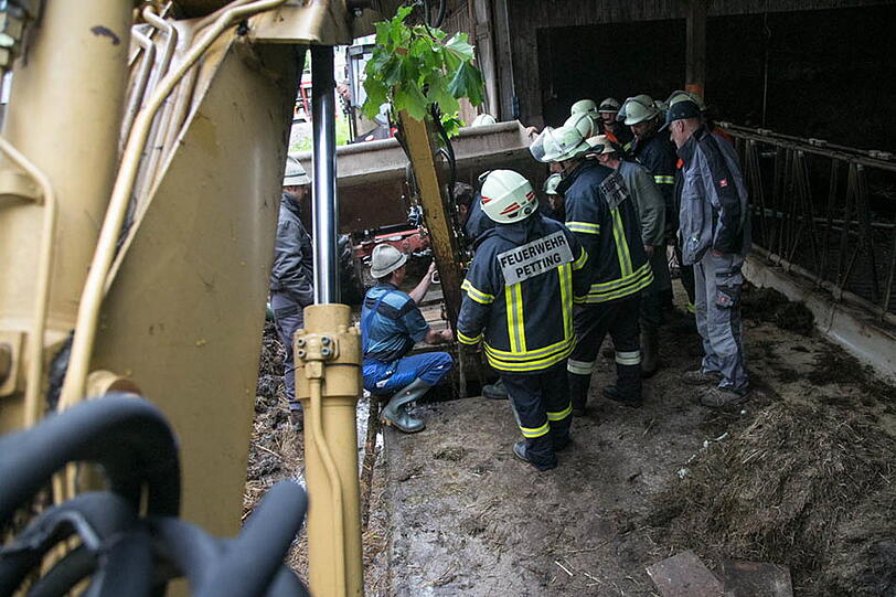 Eine Kuh in Petting musste von der Feuerwehr aus der Güllegrube gehievt werden. Die Bilder.