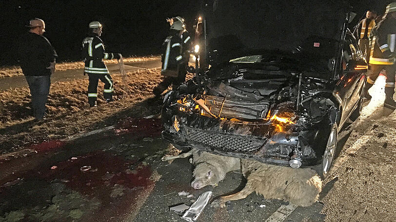 Nichts für schwache Nerven. Ein Mercedes raste mitten in die Herde &ndash; die Bilder vom Bergungseinsatz.