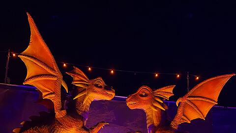 Wer Fantasy mag, der mag vermutlich auch Drachen. Alle anderen können die Fantasie-Geschöpfe auf dem ehemaligen Knorr-Bremse-Gelände kennenlernen. Die einen sehen angsteinflößender aus, andere weniger. Diese beiden Gesellen scheinen sich ganz gut zu verstehen.