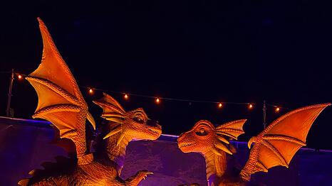 Wer Fantasy mag, der mag vermutlich auch Drachen. Alle anderen können die Fantasie-Geschöpfe auf dem ehemaligen Knorr-Bremse-Gelände kennenlernen. Die einen sehen angsteinflößender aus, andere weniger. Diese beiden Gesellen scheinen sich ganz gut zu verstehen.