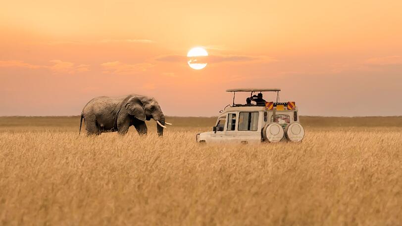 Safari-Urlaub ist teuer und deshalb etwas, was sich viele Weltenbummler nur einmal im Leben leisten. Den Wildtieren der afrikanischen Savanne in ihrem natürlichen Lebensraum zu begegnen, ist die Kosten aber definitiv wert. Die Big Five können Sie zum Beispiel im Kruger National Park in Südafrika antreffen. Aber auch Tansania, Kenia, Namibia und Botswana sind traumhafte Safari-Ziele. Safari-Urlaub ist teuer und deshalb etwas, was sich viele Weltenbummler nur einmal im Leben leisten. Den Wildtieren der afrikanischen Savanne in ihrem natürlichen Lebensraum zu begegnen, ist die Kosten aber definitiv wert. Die Big Five können Sie zum Beispiel im Kruger National Park in Südafrika antreffen. Aber auch Tansania, Kenia, Namibia und Botswana sind traumhafte Safari-Ziele.