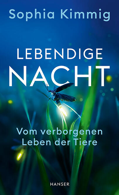 "Lebendige Nacht. Vom verborgenen Leben der Tiere" von Sophia Kimmig, am Montag erschienen im Hanser Verlag, 272 Seiten, 25 Euro.