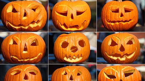 Geschnitzte Kürbisse: Nicht zuletzt Halloween hat den Kürbis hierzulande beliebter gemacht. (Archivbild)
