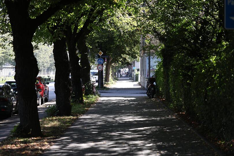 Sogar eine kleine Allee hat sich an der Dachauer Straße erhalten.