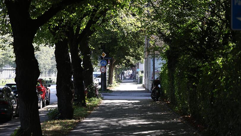 Sogar eine kleine Allee hat sich an der Dachauer Straße erhalten. Sogar eine kleine Allee hat sich an der Dachauer Straße erhalten.