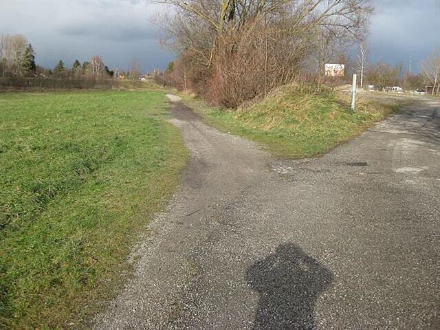 Bisher suchen Hundebesitzer ohne Erfolg nach einer solchen Entsorgungsstelle.