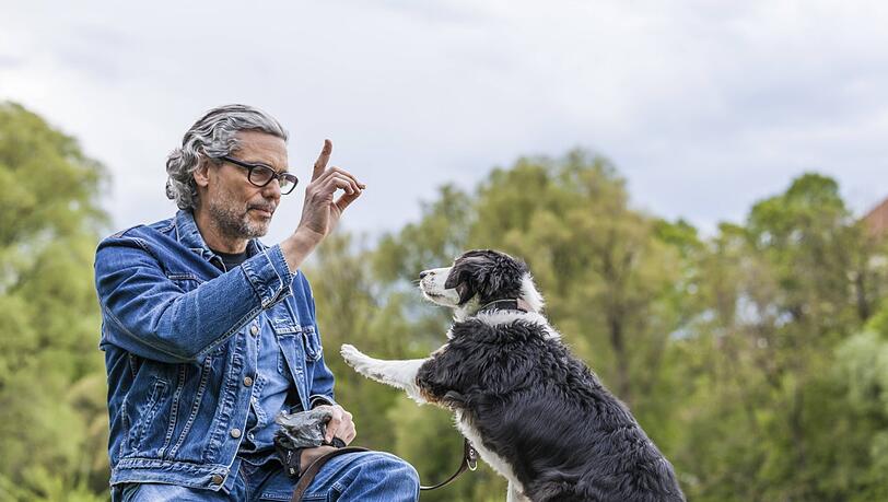 Dass Hunde auf unsere Befehle hören, ist schon eine Form der Kommunikation – laut dem Experten ist da noch mehr möglich. Dass Hunde auf unsere Befehle hören, ist schon eine Form der Kommunikation – laut dem Experten ist da noch mehr möglich.