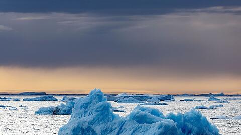 Die Dokumentation von Werner Herzog, in der der Pinguin vorkommt, ist aus dem Jahr 2007. (Archivfoto)
