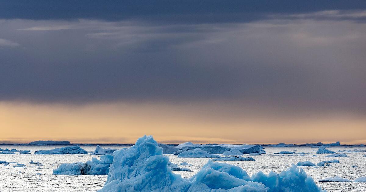 -Aber-warum-Einsamer-Pinguin-wird-zum-Social-Media-Hit