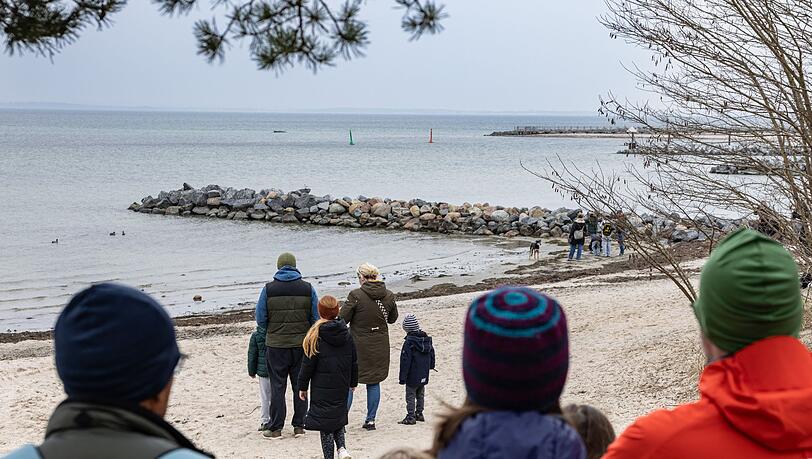 Das Schicksal des Buckelwals bewegt viele Menschen.