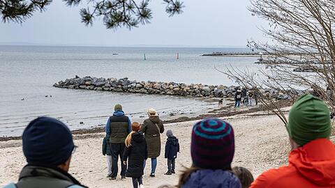 Das Schicksal des Buckelwals bewegt viele Menschen.