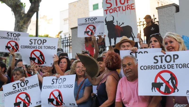 In Palma protestieren Demonstranten gegen die Wiederaufnahme von Stierkämpfen auf Mallorca. In Palma protestieren Demonstranten gegen die Wiederaufnahme von Stierkämpfen auf Mallorca.
