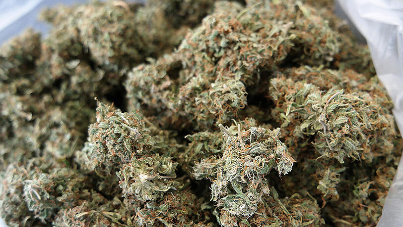 Die Polizei fand mehr als 600 Gramm Marihuana bei einem 19-Jährigen - der verpetzte auch seinen Lieferanten. Die Polizei fand mehr als 600 Gramm Marihuana bei einem 19-Jährigen - der verpetzte auch seinen Lieferanten.