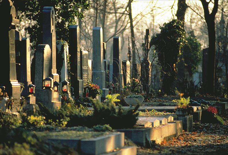 Wien: Grabzeile auf dem Zentralfriedhof.