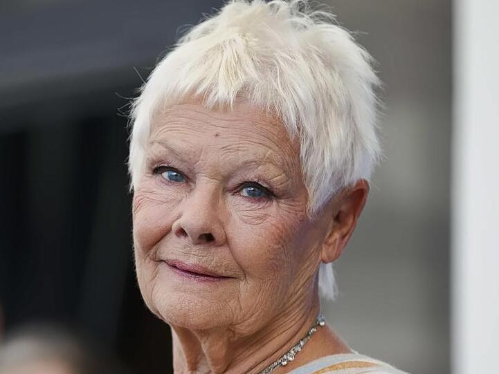 "Ich sehe nicht mehr viel, deswegen hatte ich zunächst auch aufgehört zu malen. Aber ein Freund überzeugte mich davon, dass man auch malen kann, wenn man nicht mehr alles sieht", sagt Judi Dench.