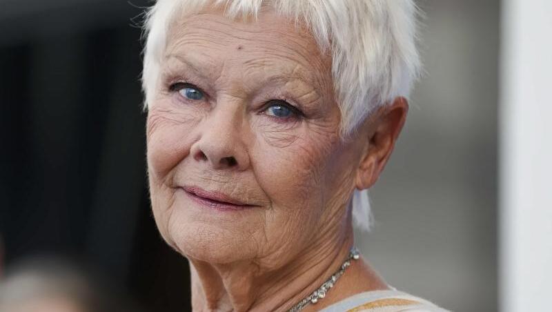 "Ich sehe nicht mehr viel, deswegen hatte ich zunächst auch aufgehört zu malen. Aber ein Freund überzeugte mich davon, dass man auch malen kann, wenn man nicht mehr alles sieht", sagt Judi Dench. "Ich sehe nicht mehr viel, deswegen hatte ich zunächst auch aufgehört zu malen. Aber ein Freund überzeugte mich davon, dass man auch malen kann, wenn man nicht mehr alles sieht", sagt Judi Dench.