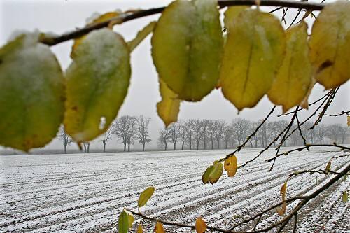 Vielerorts hat der Schnee die Felder weiß gefärbt