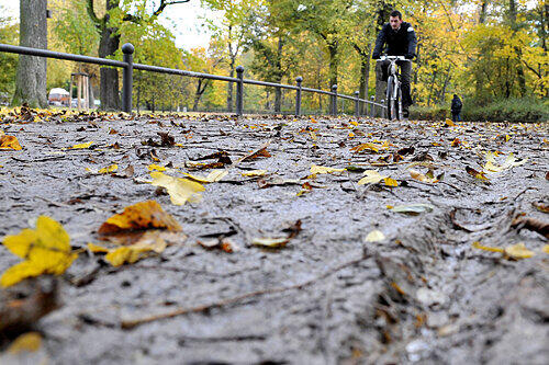 Aufgeweicht und mit tiefen Spurrinnen: So zeigt sich der frisch sanierte Radweg an der Hallerwiese nach einer Woche.